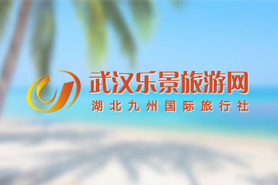 武汉乐景旅游网